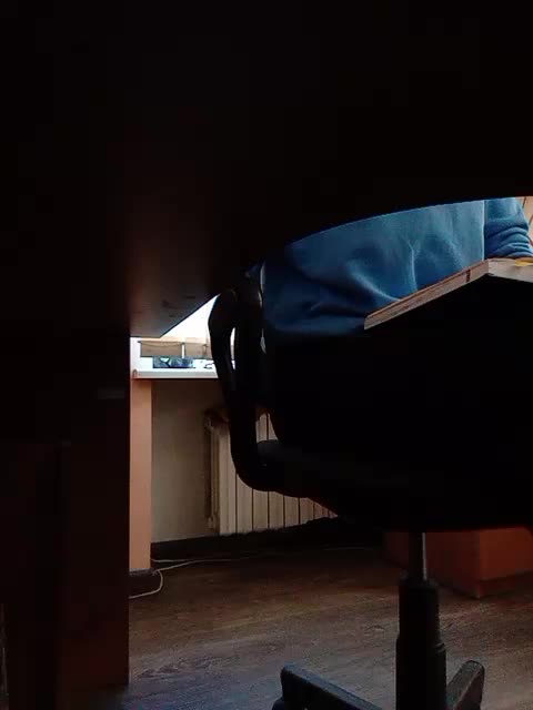 GolayaPravda Adult Chat July 30, 2025