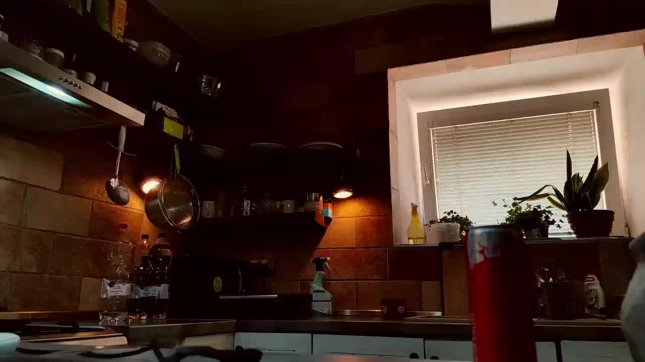 Zlatalata Adult Chat July 30, 2025