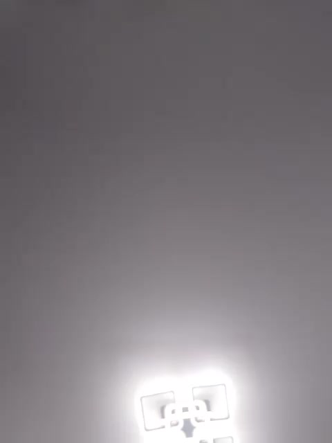 Oyster-lemon Adult Chat July 23, 2025