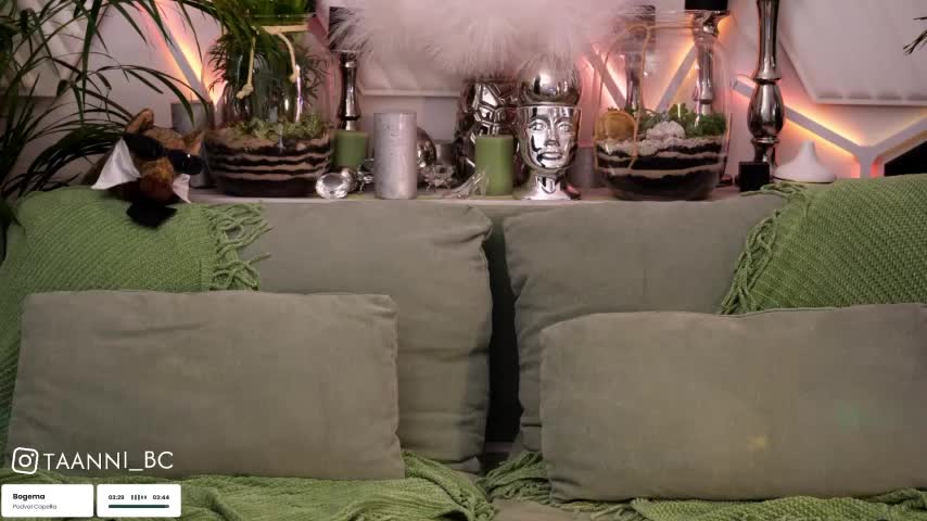 taanni_bc Adult Chat July 31, 2025