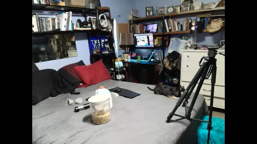 pink_black Adult Chat July 15, 2025