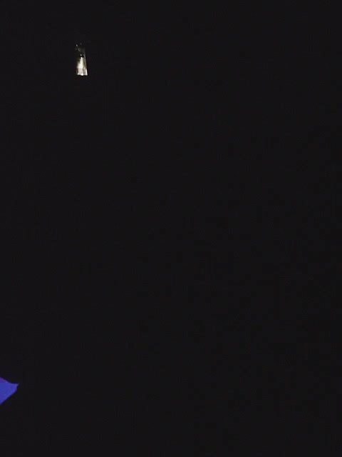 WILD-love-WILD Adult Chat July 31, 2025