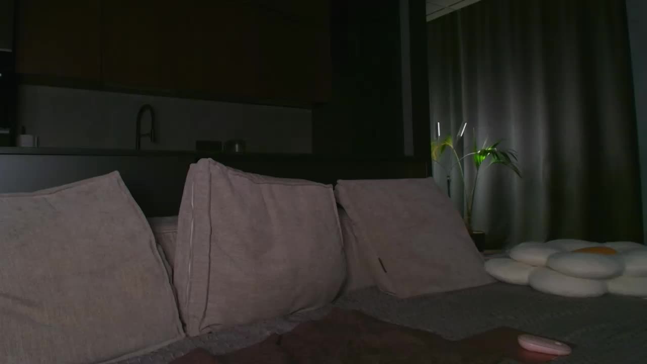 AlexisGrays Adult Chat July 31, 2025