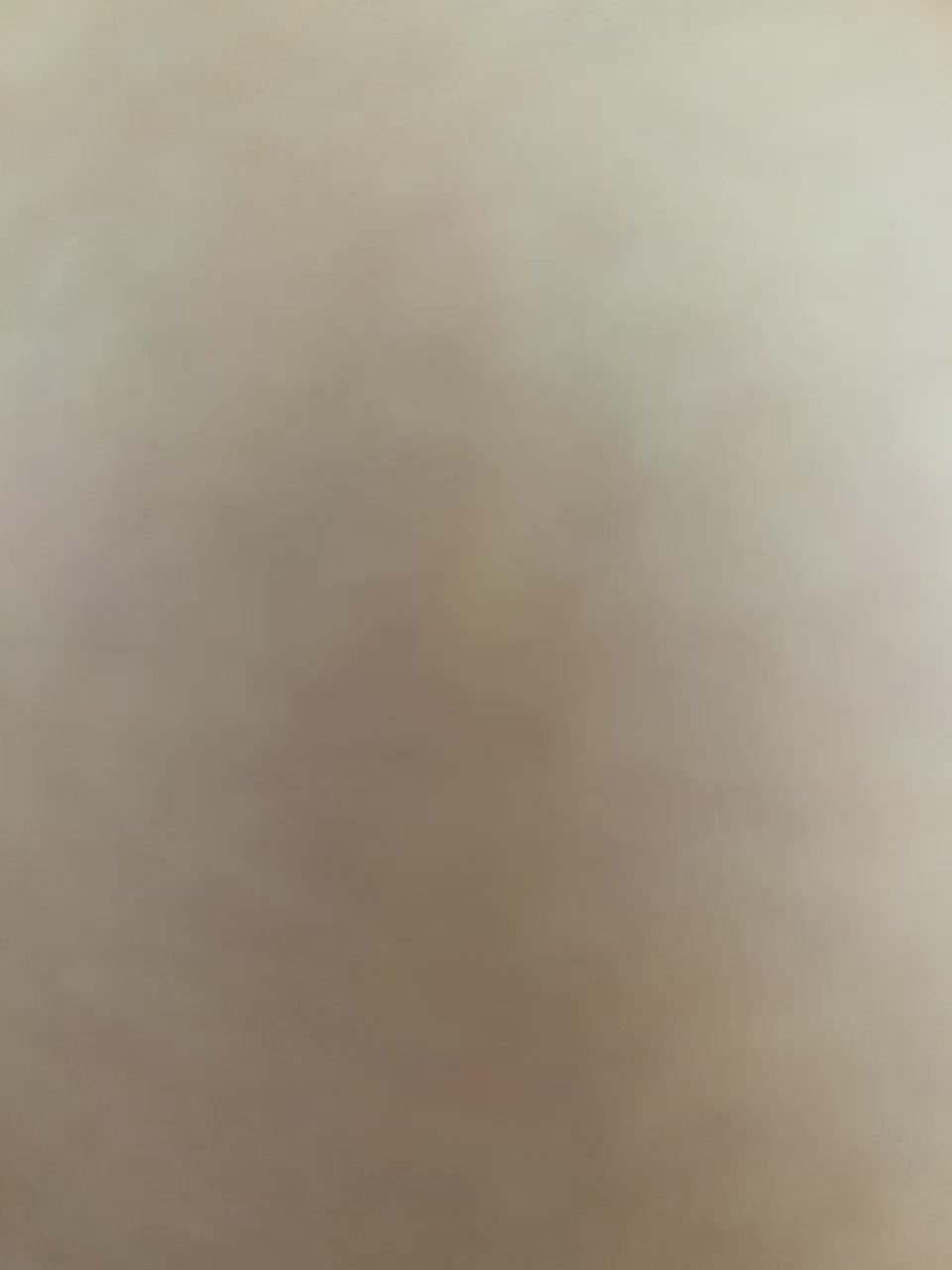 wild-love1 Adult Chat July 31, 2025