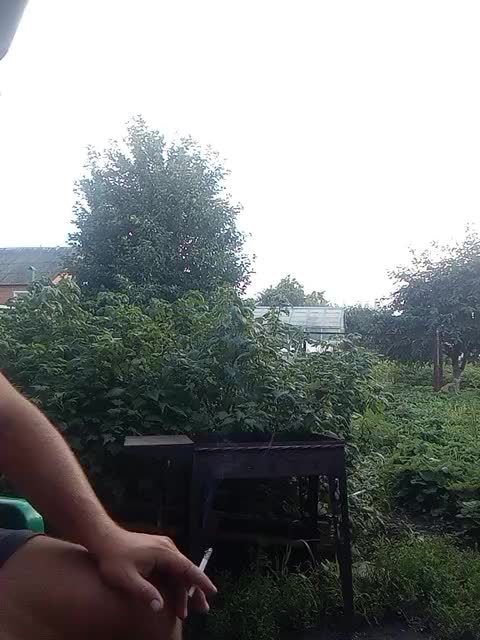 ALCO-STREAM Adult Chat July 25, 2025