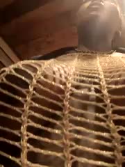 DarkDea Adult Chat July 12, 2025