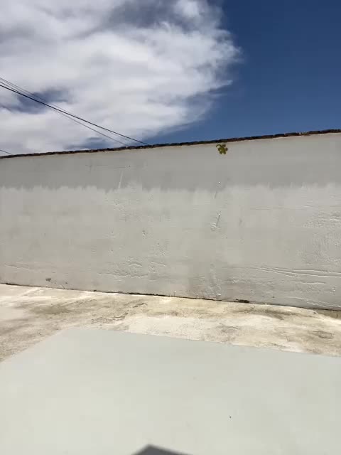 Miss_Milka Adult Chat July 23, 2025