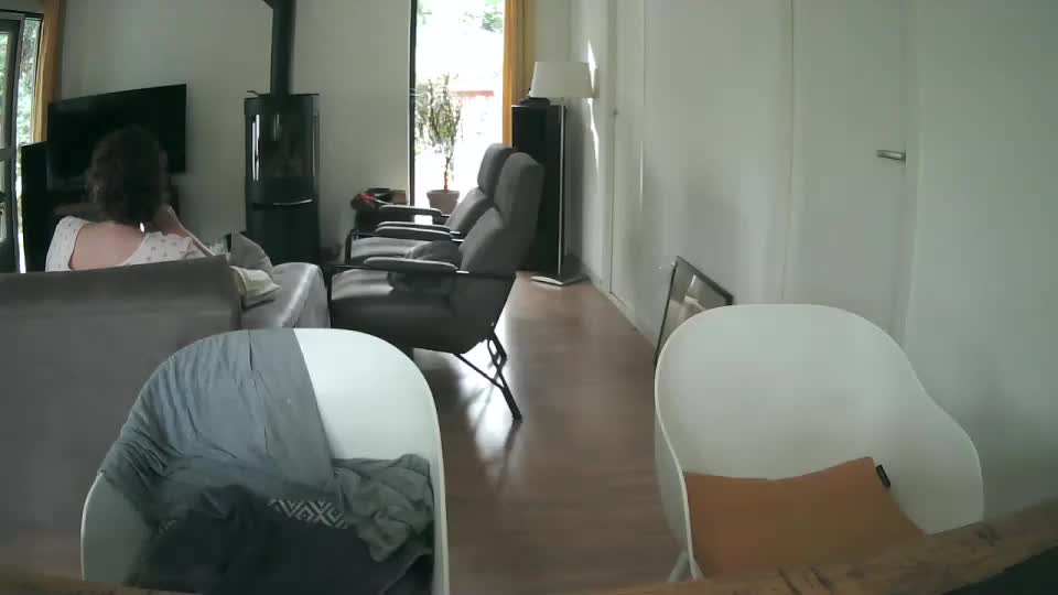 woodwurm Adult Chat July 25, 2025