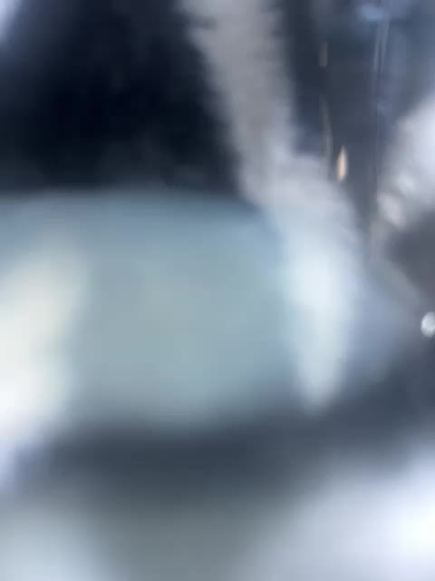 Hot-milkys Adult Chat July 26, 2025