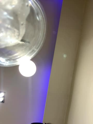 Wet__Bunny Adult Chat July 17, 2025