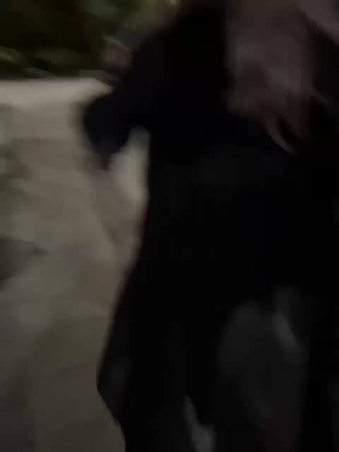 Sexy_twist Adult Chat July 25, 2025