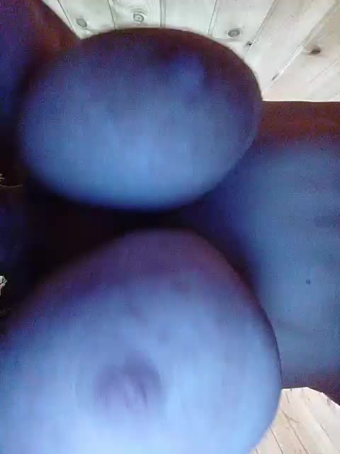 EVIL_TITS Adult Chat July 24, 2025