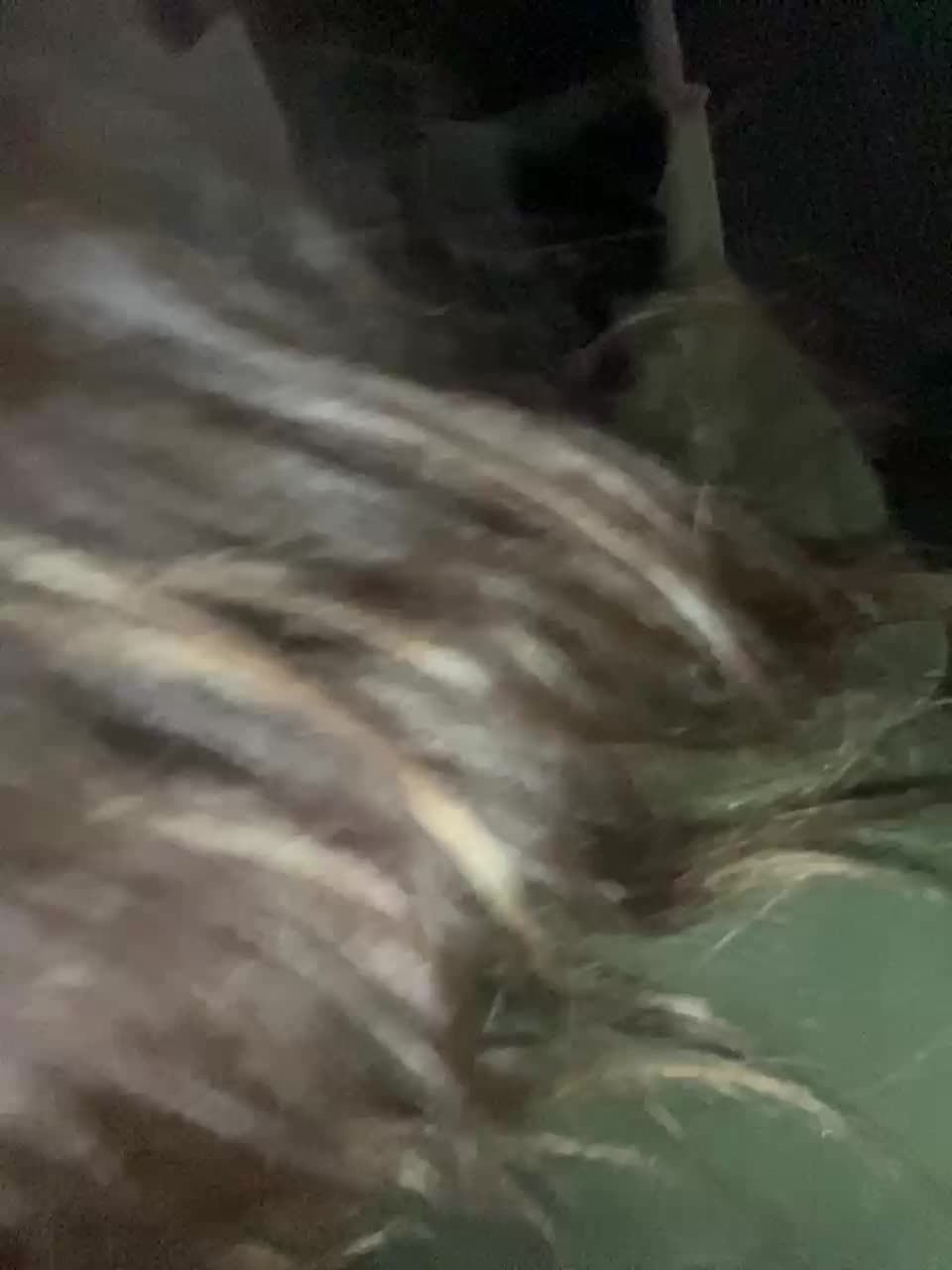 SaintMaria Adult Chat July 3, 2025