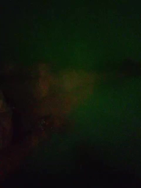 Schastlivchik10 Adult Chat July 31, 2025