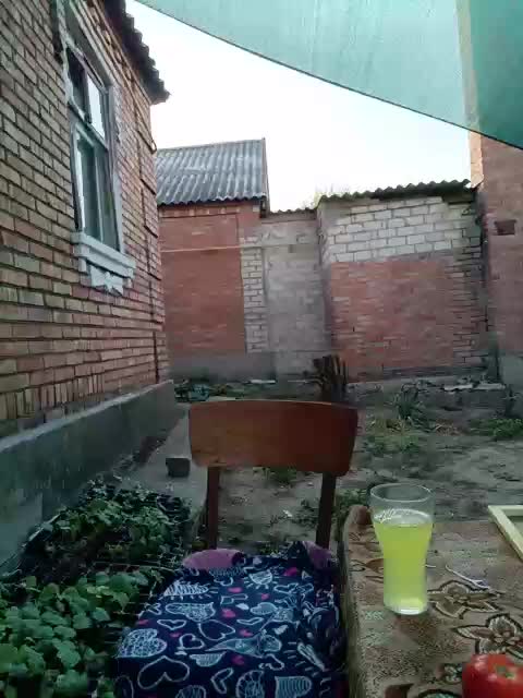 Koketka_nelegal Adult Chat July 31, 2025