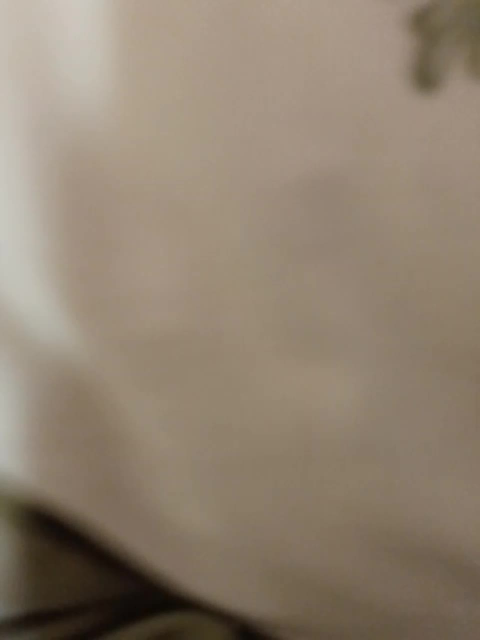 Fuffocka Adult Chat July 31, 2025