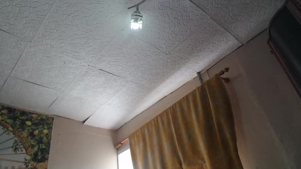 shyredstar Adult Chat July 8, 2025