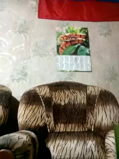 Calibriya Adult Chat July 31, 2025