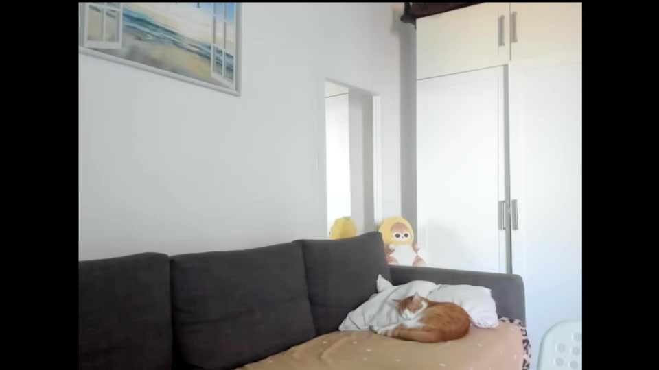 beatixxxandliam Adult Chat July 22, 2025