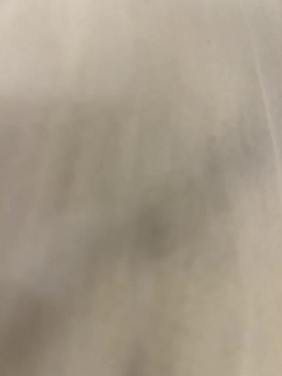 wild-love1 Adult Chat July 25, 2025