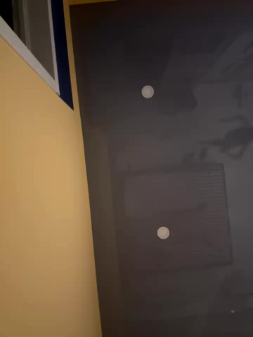 HarrietDart Adult Chat July 31, 2025