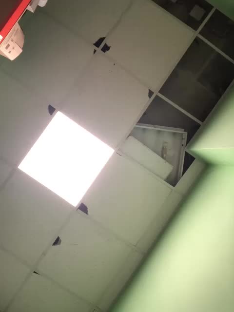 Dreamcore1050 Adult Chat July 31, 2025