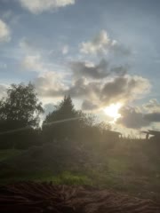 Panther_0888 Adult Chat July 31, 2025