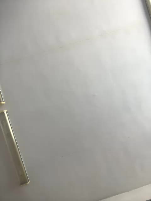 LynnMonica Adult Chat July 31, 2025