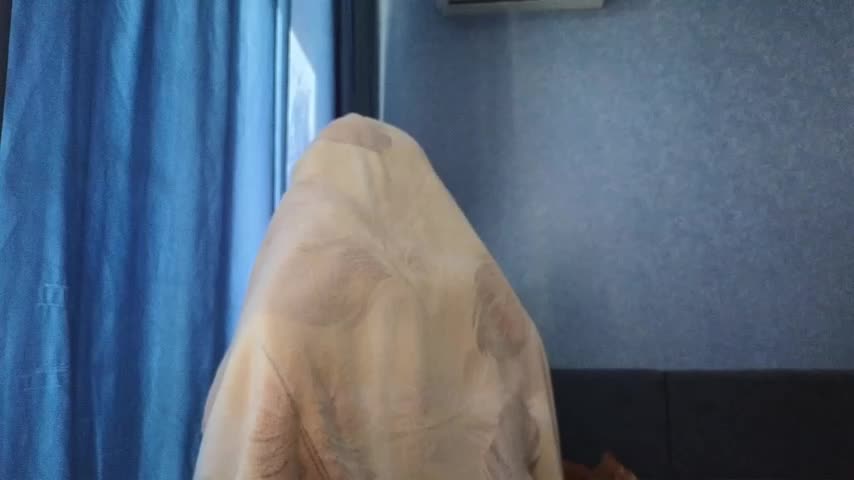 HotBrandyX Adult Chat July 31, 2025