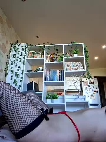 Winx20 Adult Chat July 31, 2025