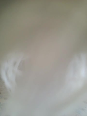 AlisaDoll444 Adult Chat July 31, 2025