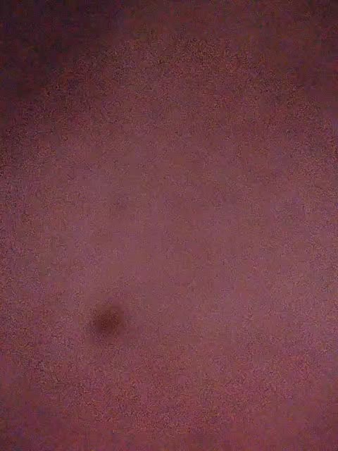 Karino4ka Adult Chat July 31, 2025