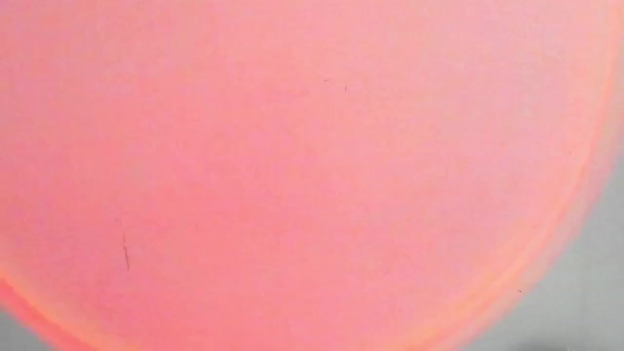 ReneYolker Adult Chat July 31, 2025