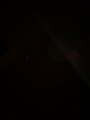 Cute_Erika Adult Chat August 1, 2025