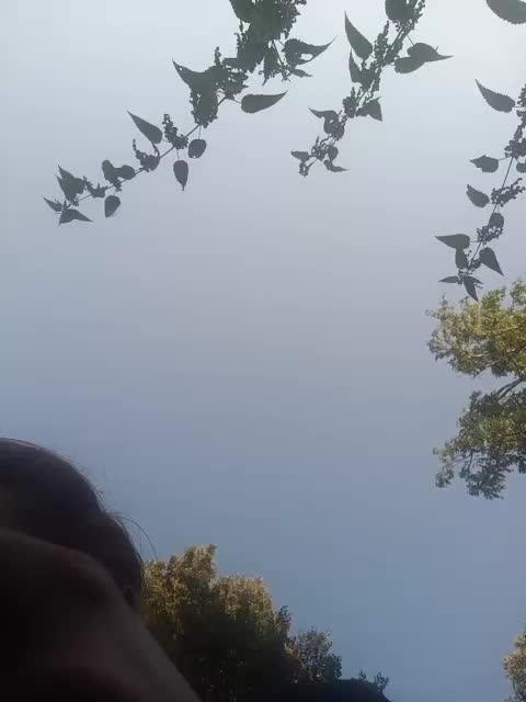 FoxKira Adult Chat August 1, 2025