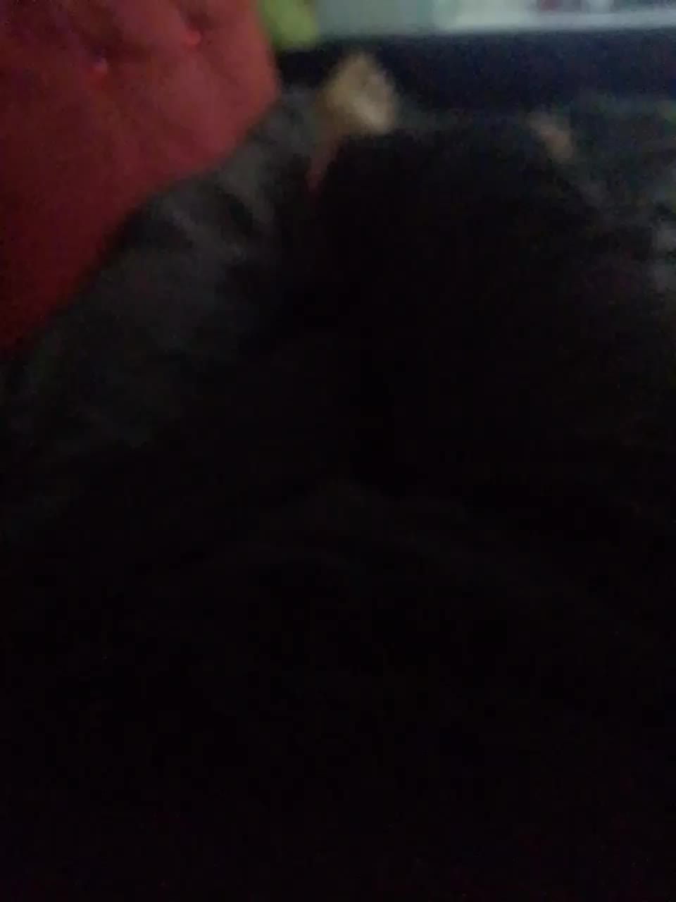 Oks---Rus Adult Chat August 1, 2025