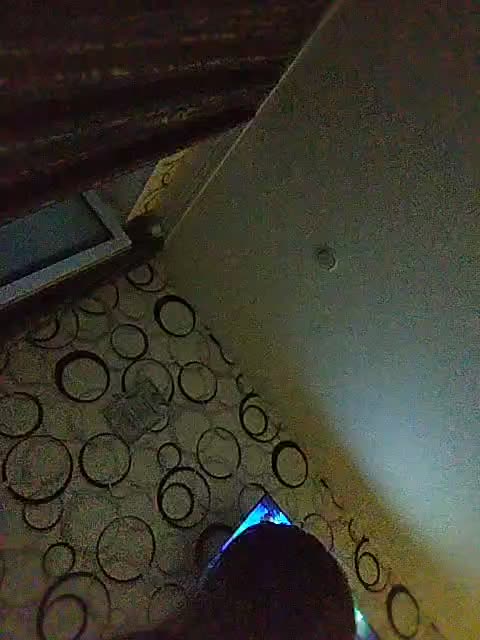 Pantero Adult Chat August 1, 2025