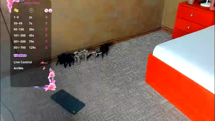 valleriejonnes Adult Chat August 1, 2025