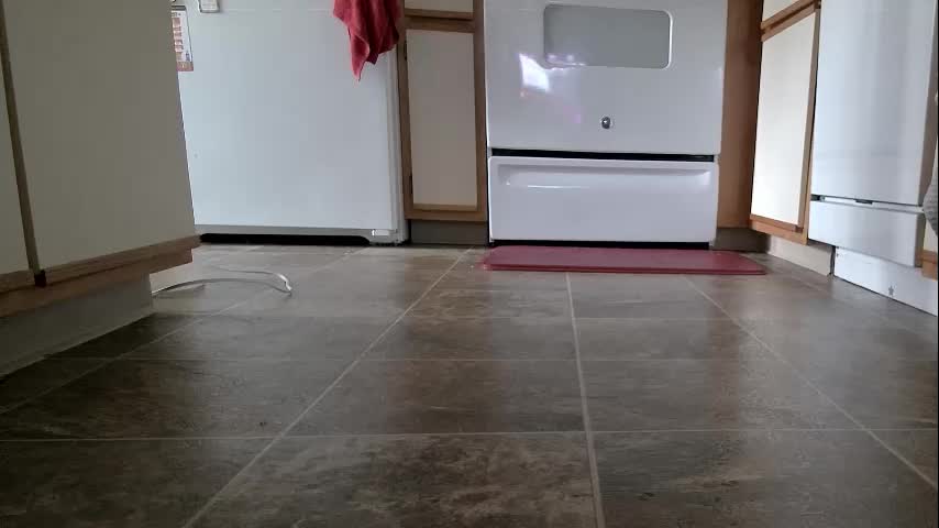 xxstrawberryjanexx Adult Chat August 1, 2025