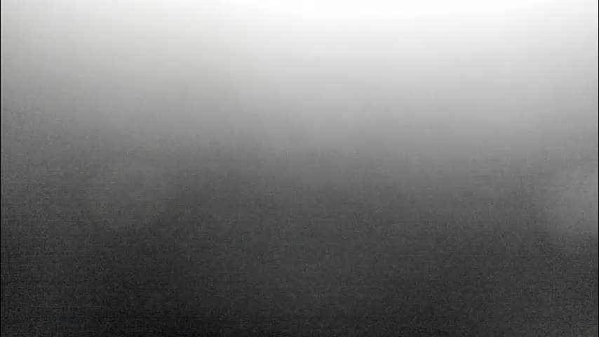 synop_sis Adult Chat July 23, 2025