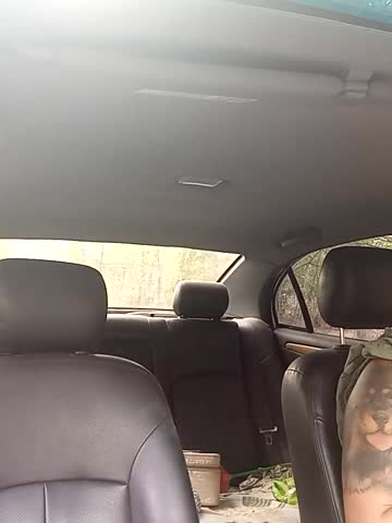 Greta_Tamar Adult Chat August 1, 2025