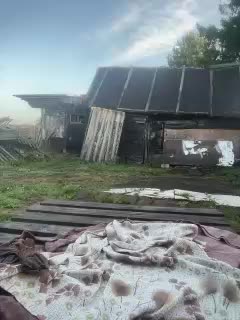 Panther_0888 Adult Chat August 1, 2025