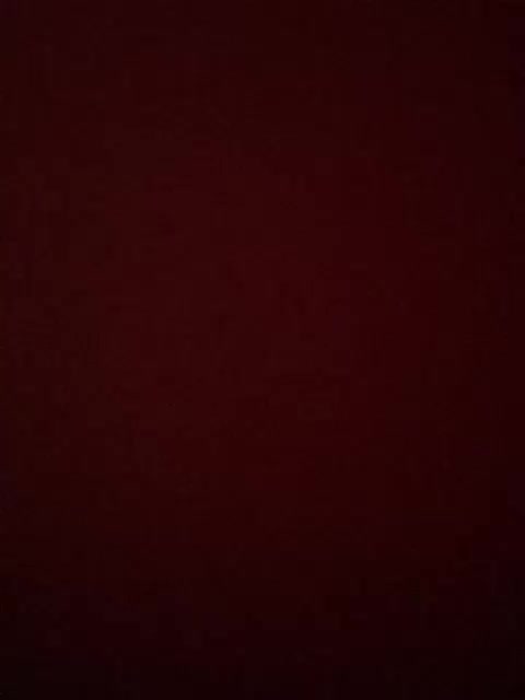 Vikiwww Adult Chat August 1, 2025