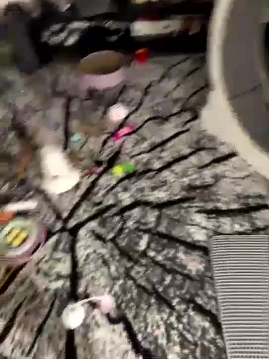 Taanni Adult Chat August 2, 2025