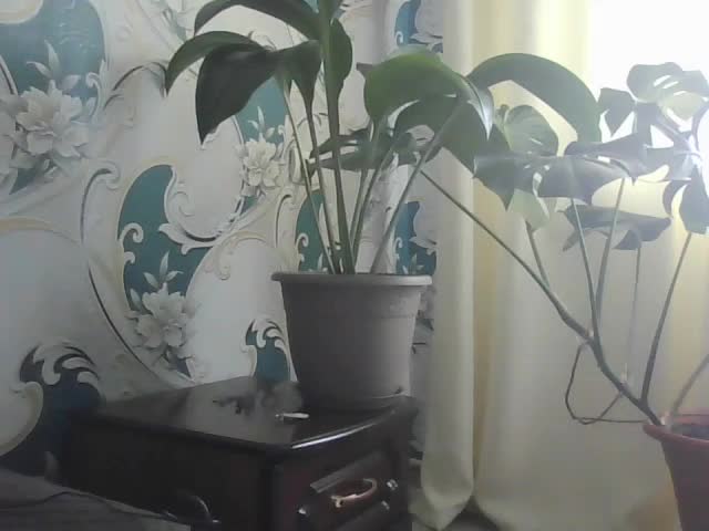 Danozka Adult Chat August 2, 2025