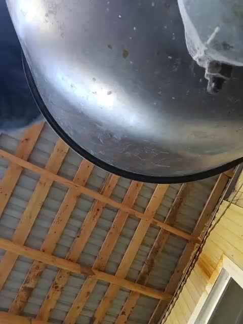 Xo4y-SeXa Adult Chat August 2, 2025