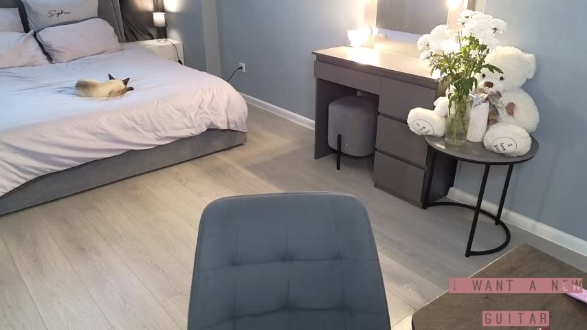 DariFlexy Adult Chat August 2, 2025