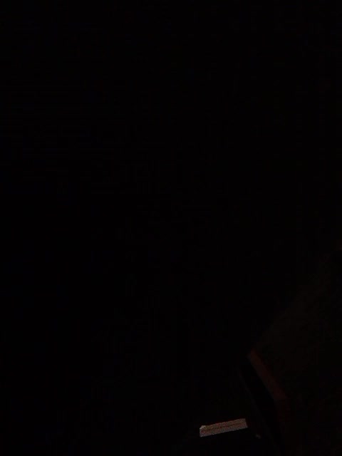 GolayaPravda Adult Chat August 2, 2025