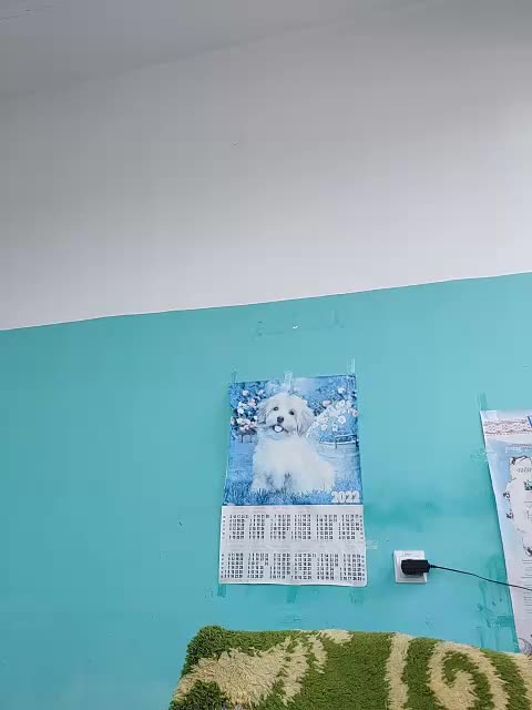 WildMerry Adult Chat August 2, 2025