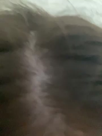 missevacrystal Adult Chat August 2, 2025